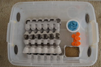 How To Keep Thousands Of Crickets & Mealworms Alive For Reptile Feedings (Diy Cricket Keeper) - Youtube