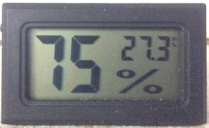 live cricket humidity